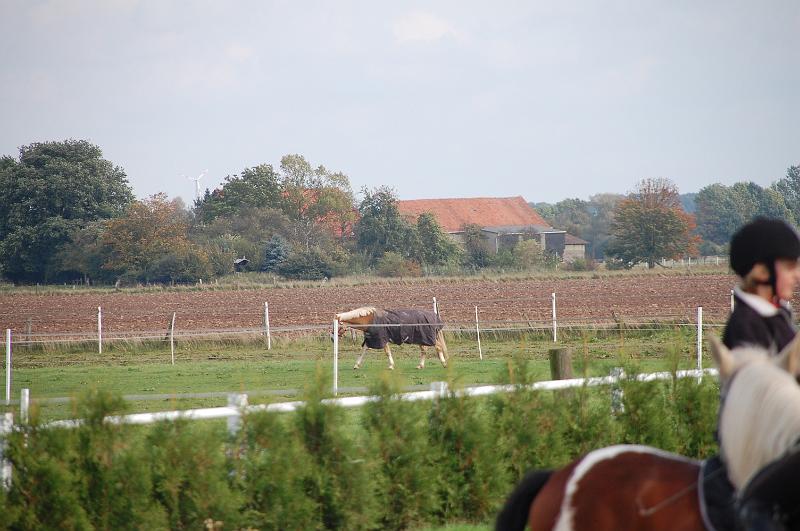Tagesausritt Oktober 2008124.JPG